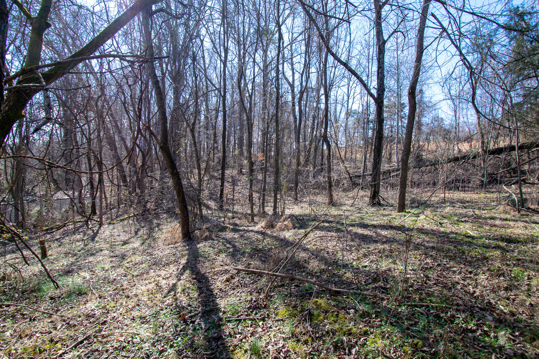 Sallings Road Luttrell, TN 37779 - Photo 2 of 11 DSC_0597
