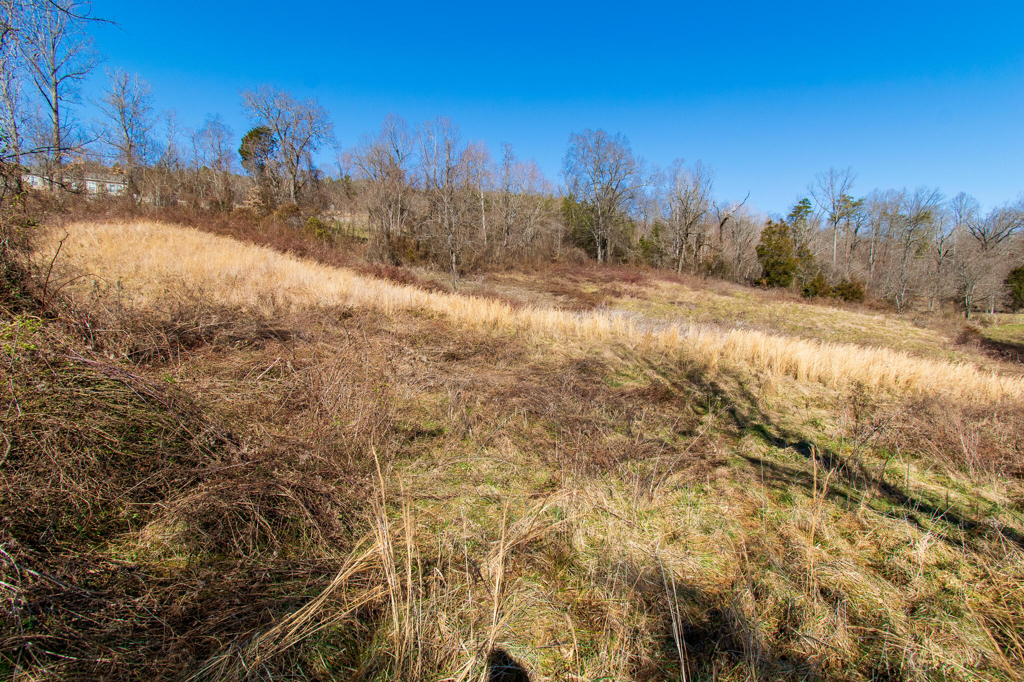 Sallings Road Luttrell, TN 37779 - Photo 3 of 11 DSC_0599