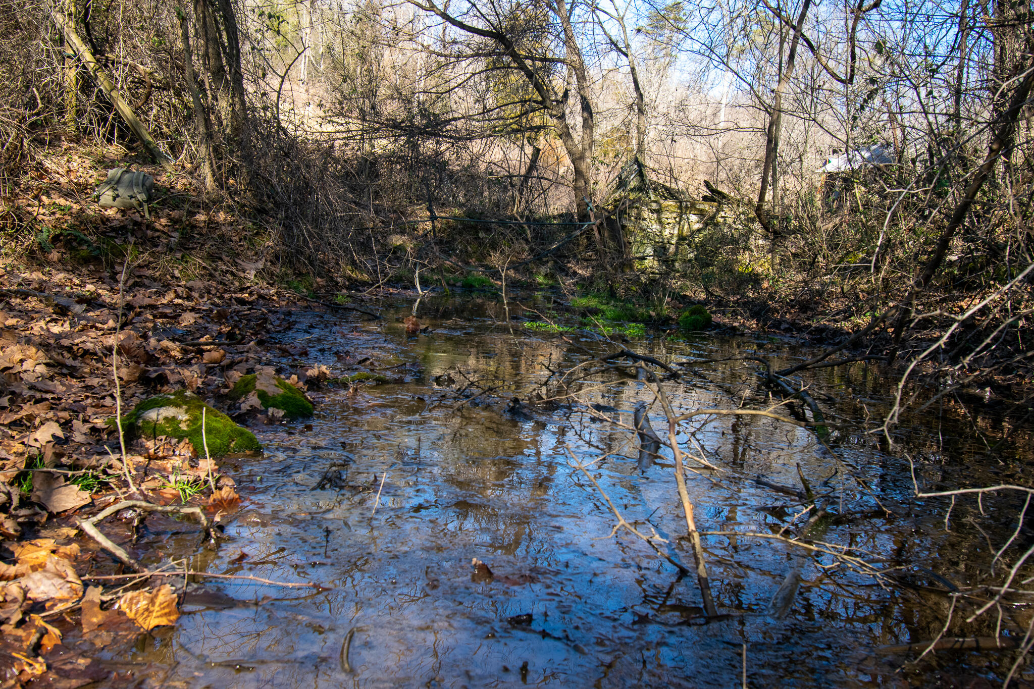 Sallings Road Luttrell, TN 37779 - Photo 4 of 11 DSC_0606