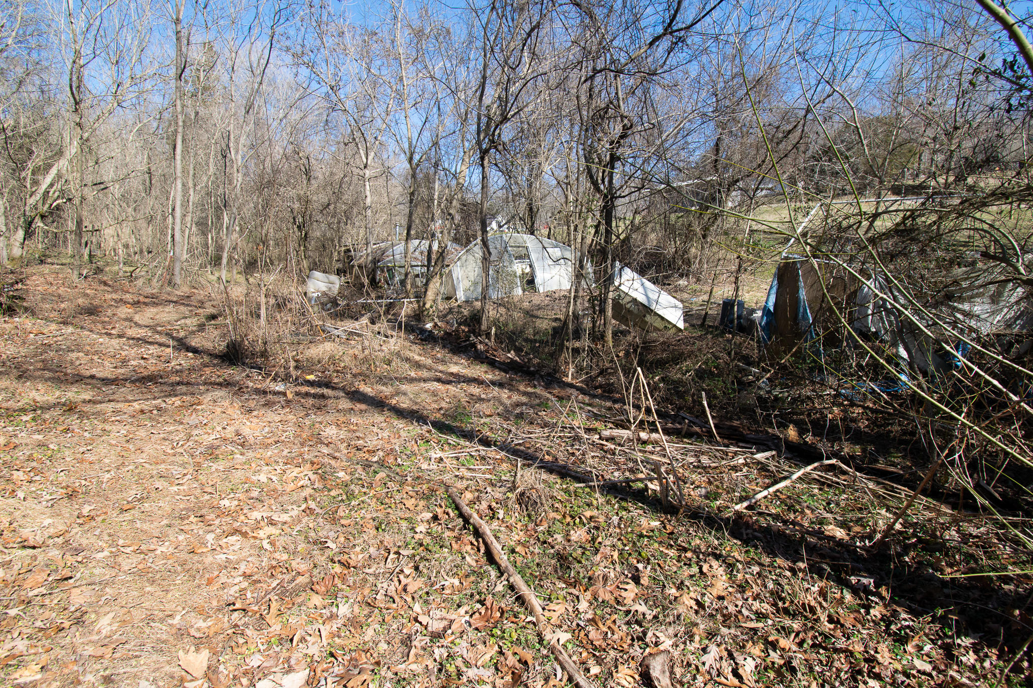 Sallings Road Luttrell, TN 37779 - Photo 10 of 11 DSC_0595