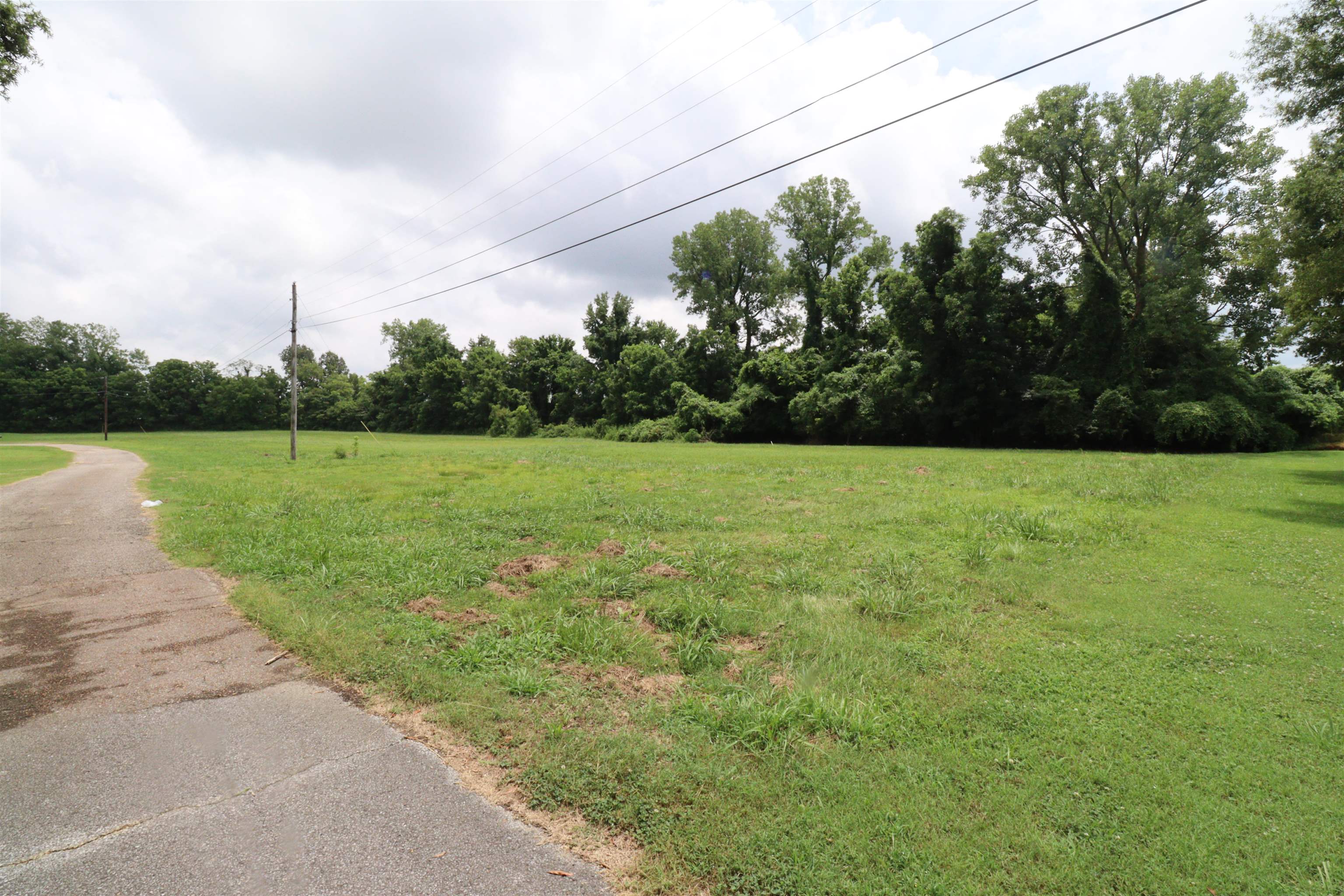 0 Edith-Nankipoo Road Ripley, TN 38063 - Photo 7 of 7 a view of a grassy area