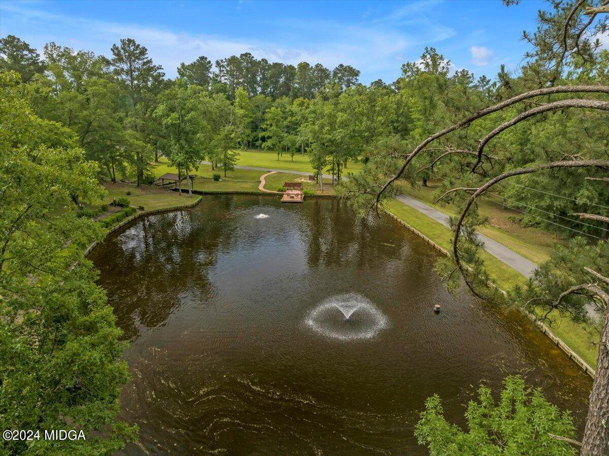 474 Plantation Road Gray, GA 31032 - Photo 7 of 64 a view of a lake in middle of the house