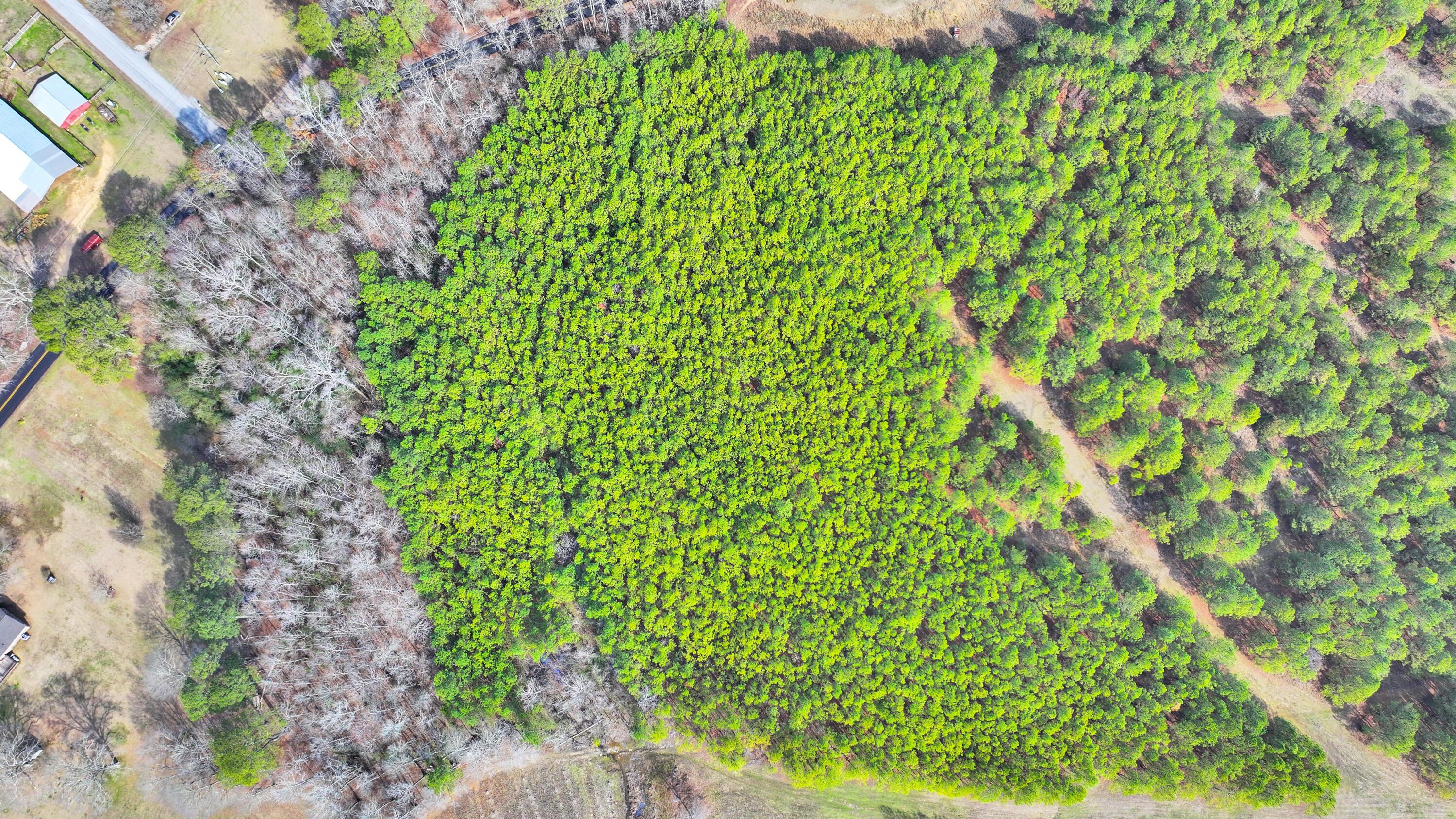Lot 2 Duncan Road Nauvoo, AL 35578 - Photo 19 of 28 Gallery Image 19