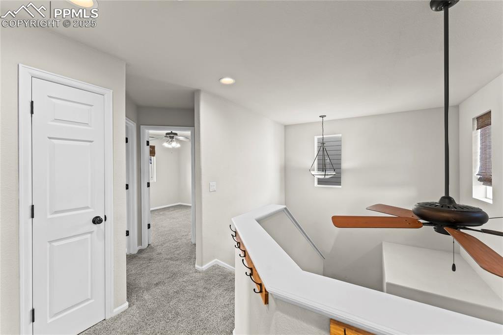 11508 Black Maple Lane Colorado Springs, CO 80921 - Photo 13 of 31