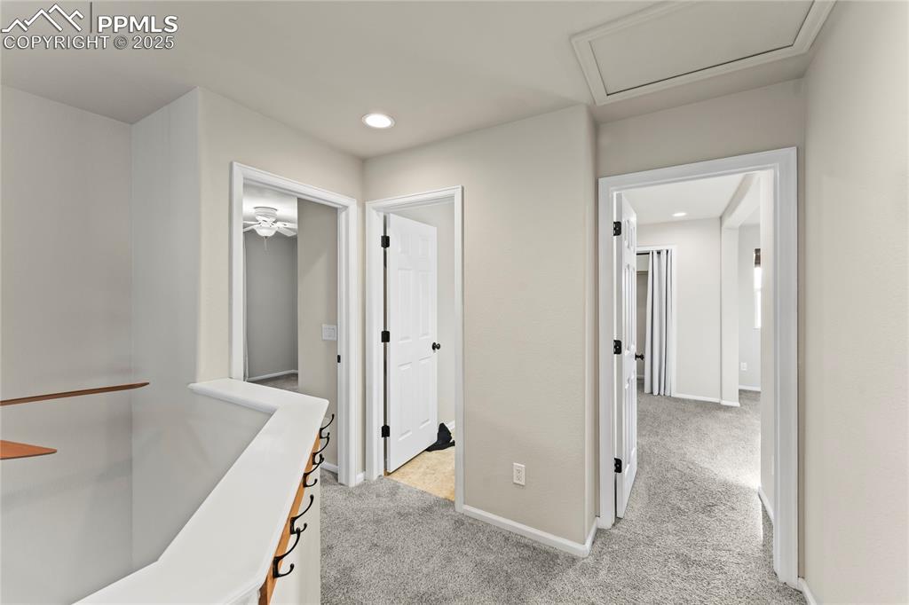 11508 Black Maple Lane Colorado Springs, CO 80921 - Photo 14 of 31