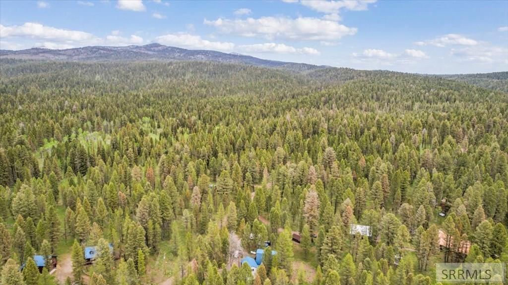 4158 Beaver Springs Road Island Park, ID 83429 - Photo 57 of 62