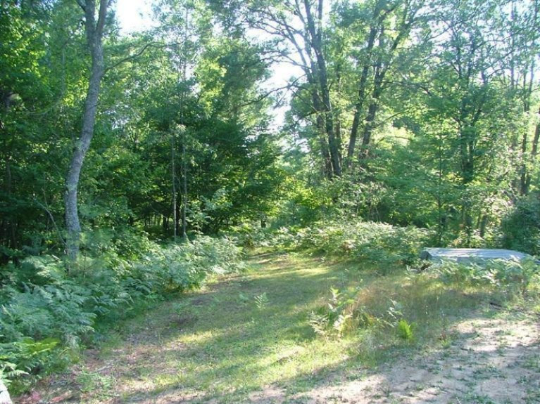 Old House Road Wellston, MI 49689 - Photo 15 of 19 Additional Photo