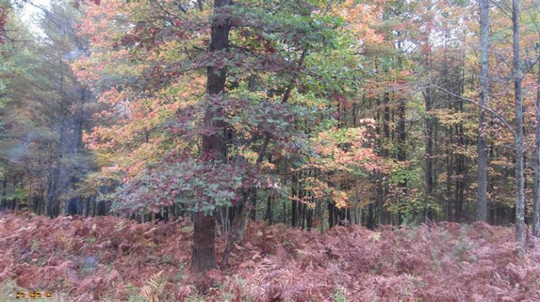 Old House Road Wellston, MI 49689 - Photo 2 of 19 Additional Photo