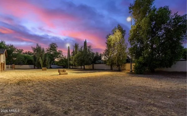 a view of outdoor space and yard
