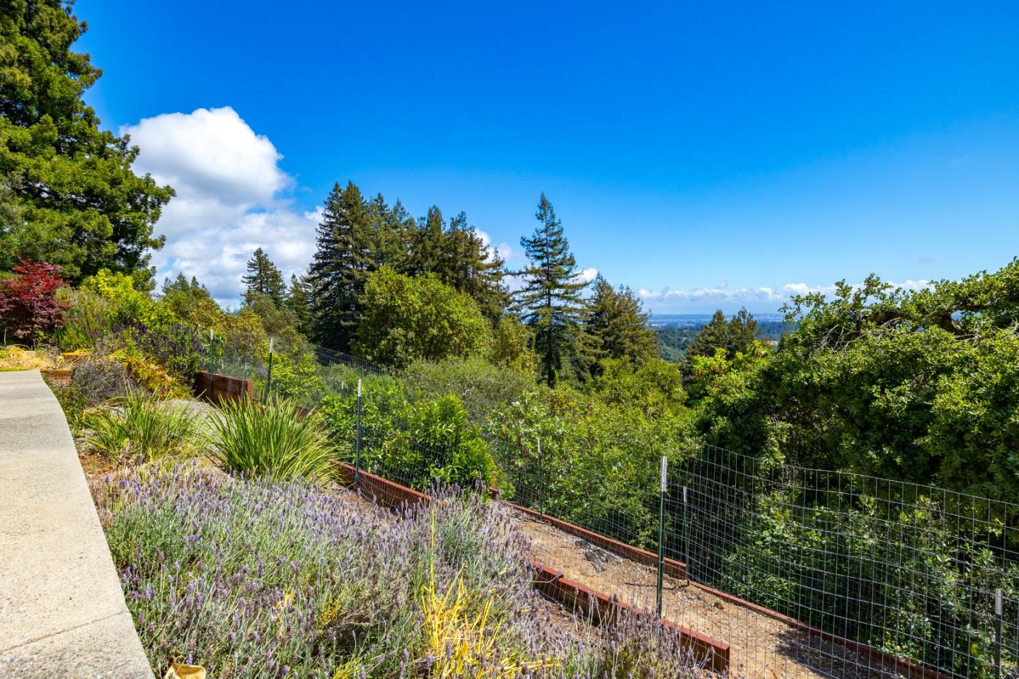 1081 Avocado Road Watsonville, CA 95076 - Photo 61 of 66