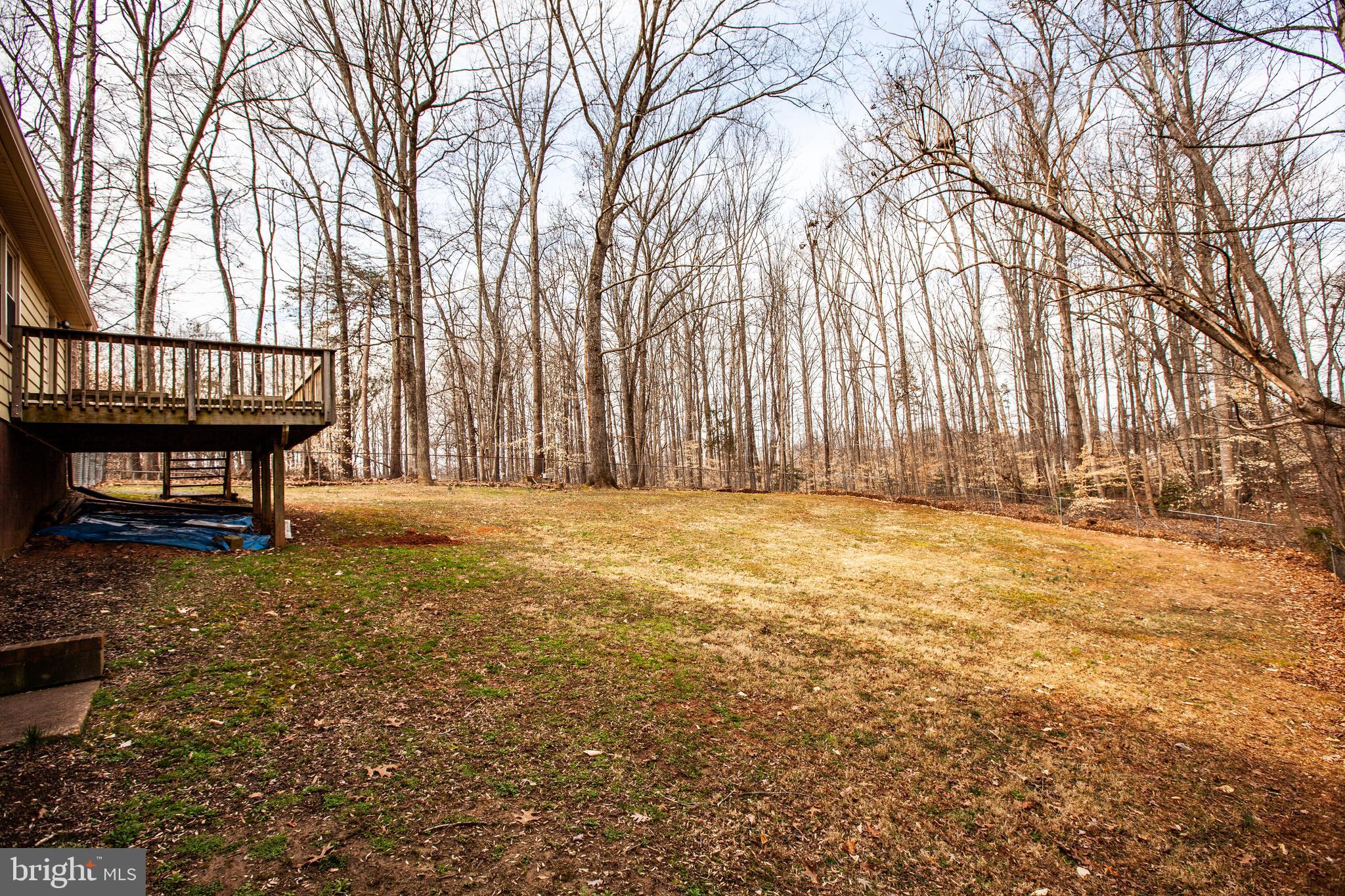Backyard extends beyond the fence