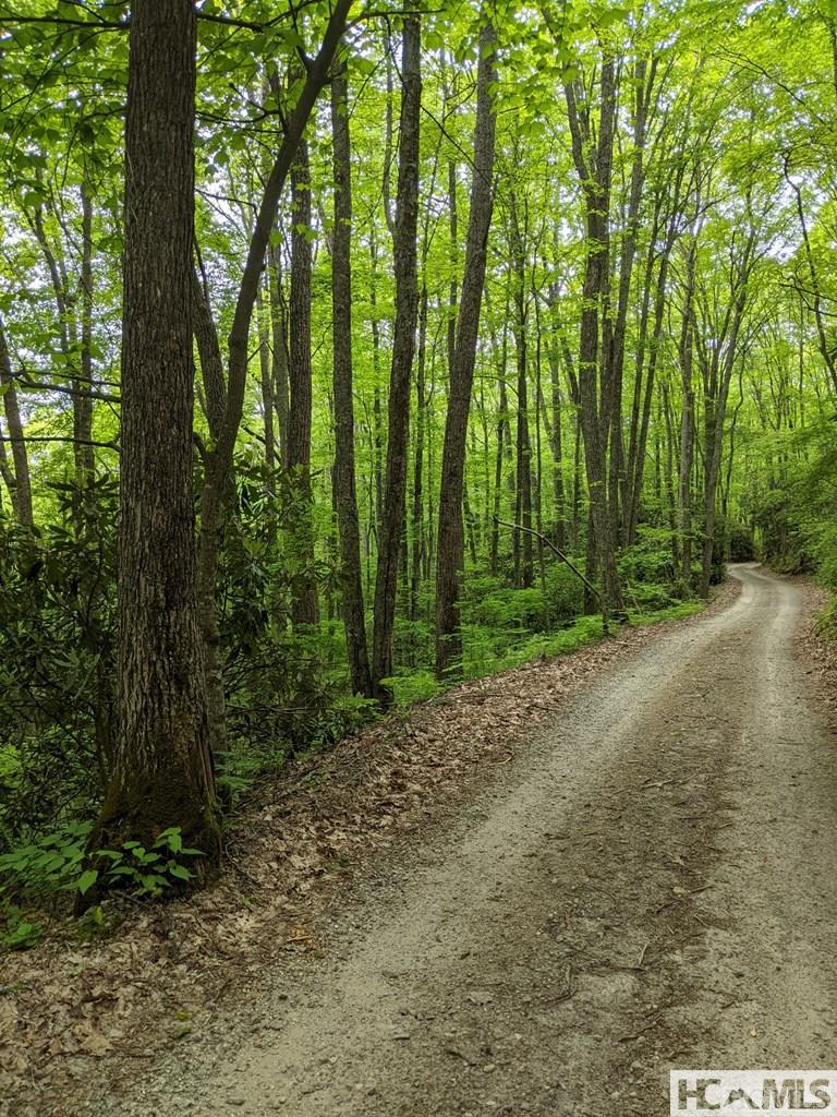 0 Buck Knob Road Cullowhee, NC 28723 - Photo 6 of 9 Gallery Image 6