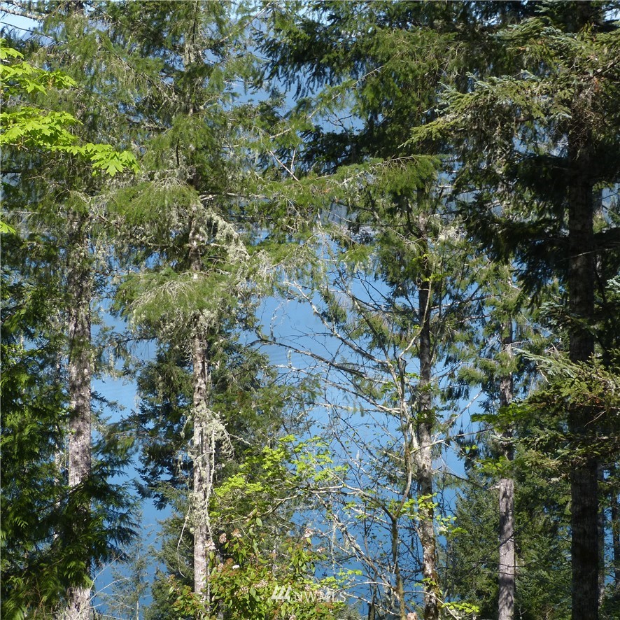 18996 Northwest Stavis Bay Road Seabeck, WA 98380 - Photo 22 of 22 Gallery Image 22