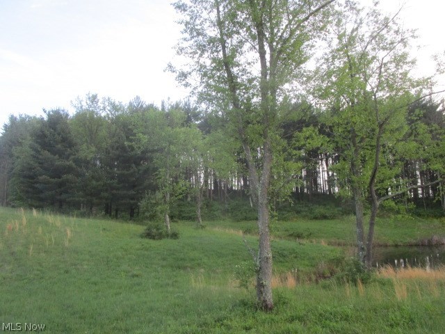Hill Road Dresden, OH 43821 - Photo 15 of 26