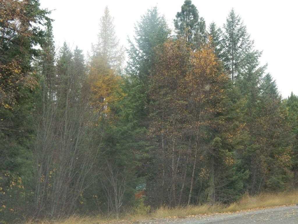 4228 Lessig Road Hunters, WA 99137 - Photo 2 of 6