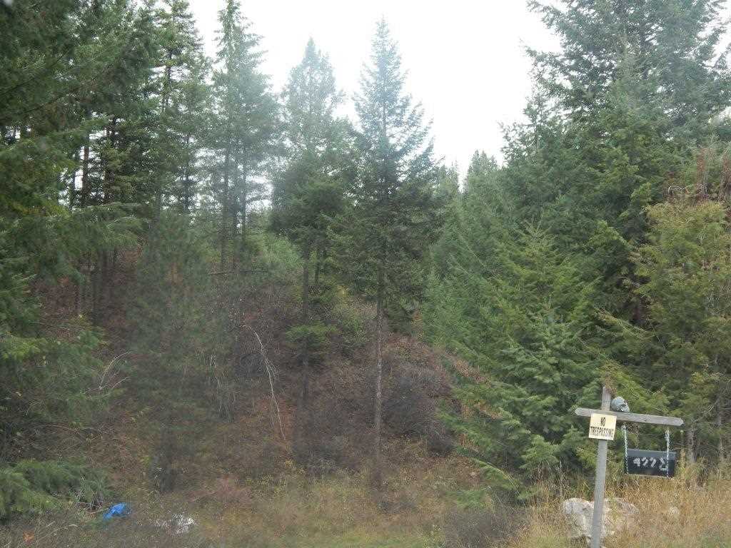 4228 Lessig Road Hunters, WA 99137 - Photo 3 of 6