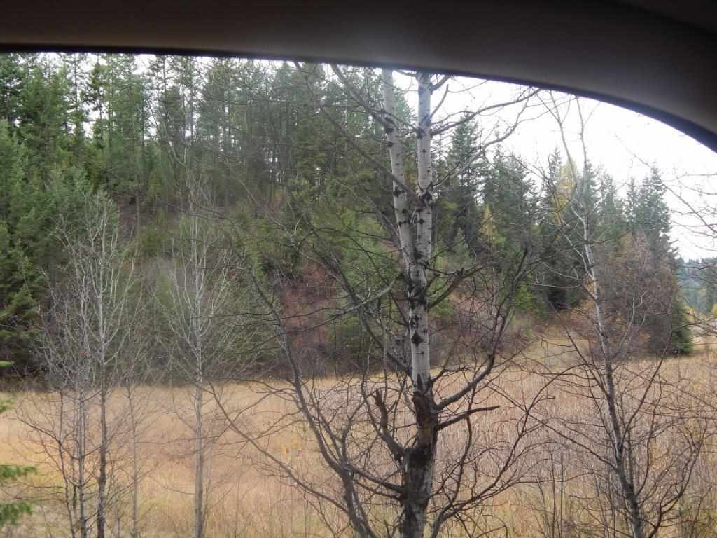 4228 Lessig Road Hunters, WA 99137 - Photo 4 of 6