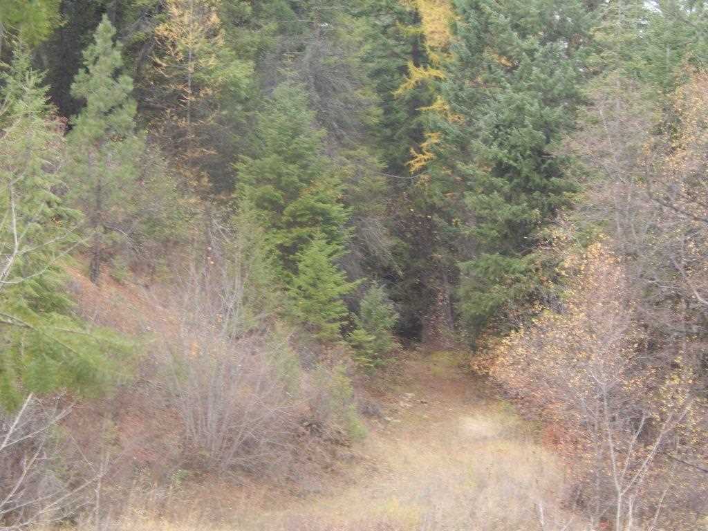 4228 Lessig Road Hunters, WA 99137 - Photo 5 of 6