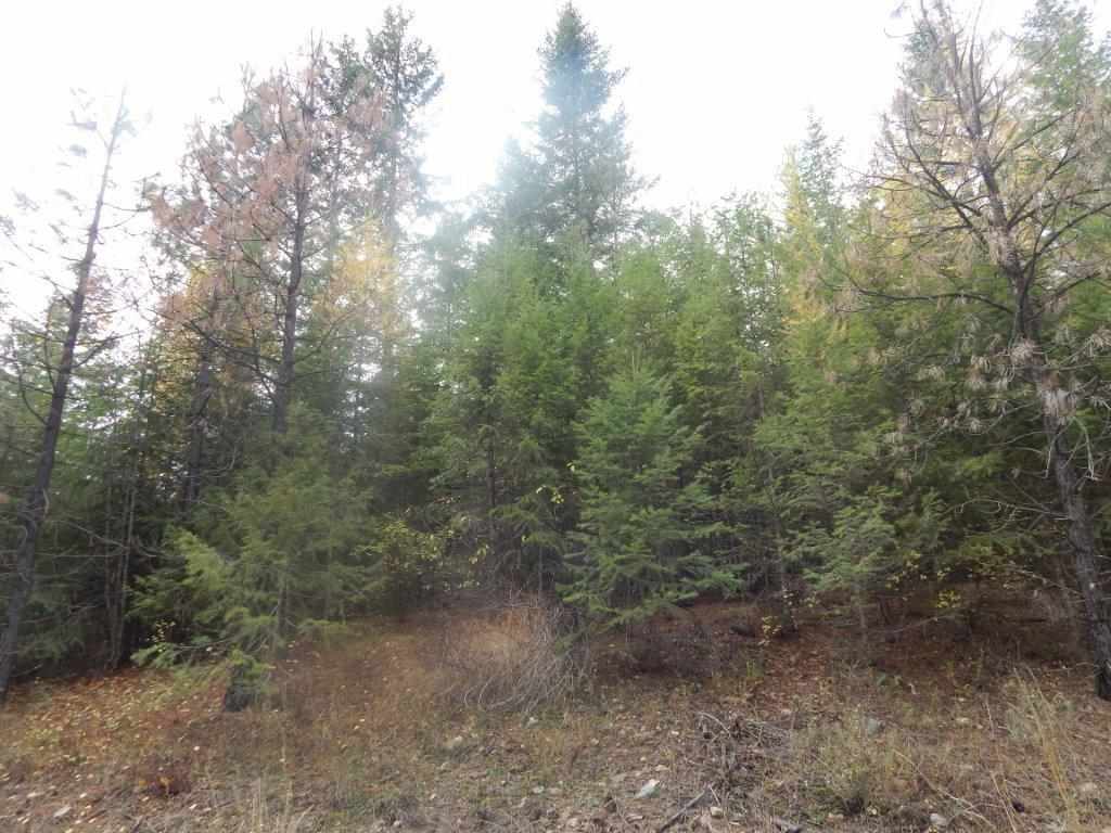 4228 Lessig Road Hunters, WA 99137 - Photo 6 of 6