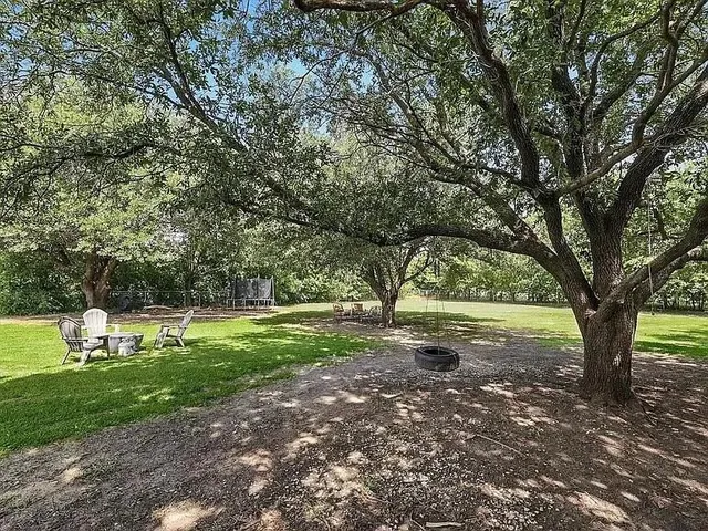 a view of a field with grass and trees