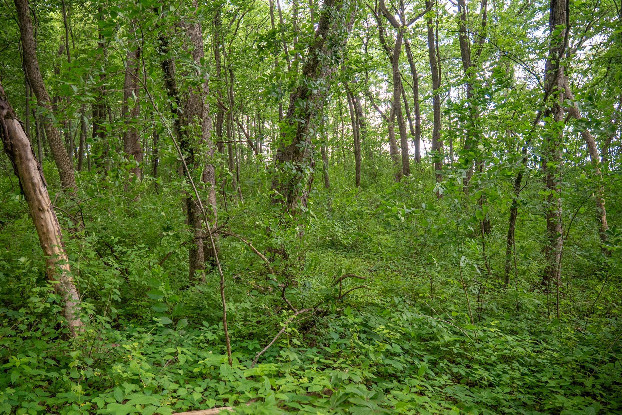 13682 East State Line Road Durand, IL 61024 - Photo 13 of 68