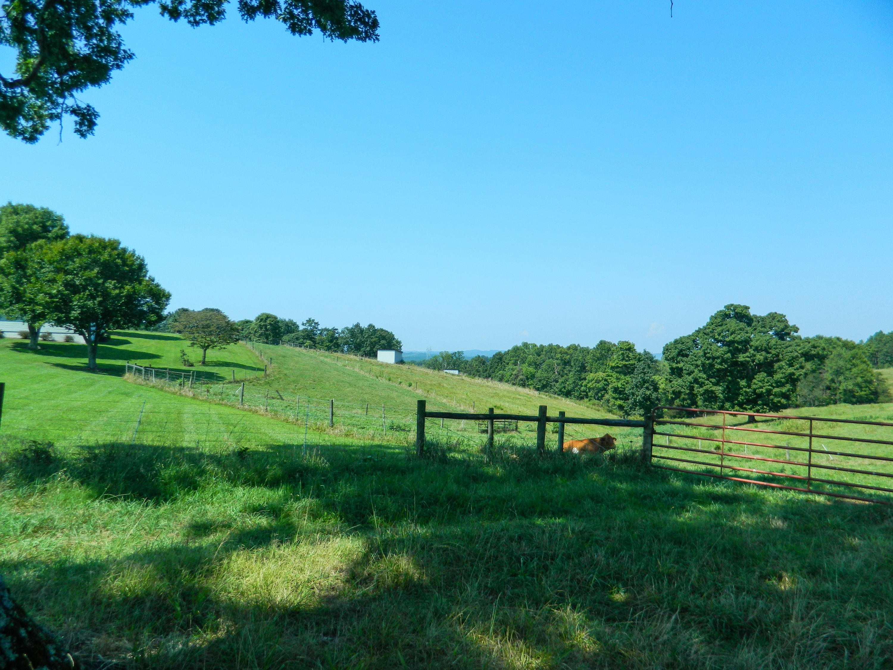 4637 Mountain Valley Road Axton, VA 24054 - Photo 41 of 45 41