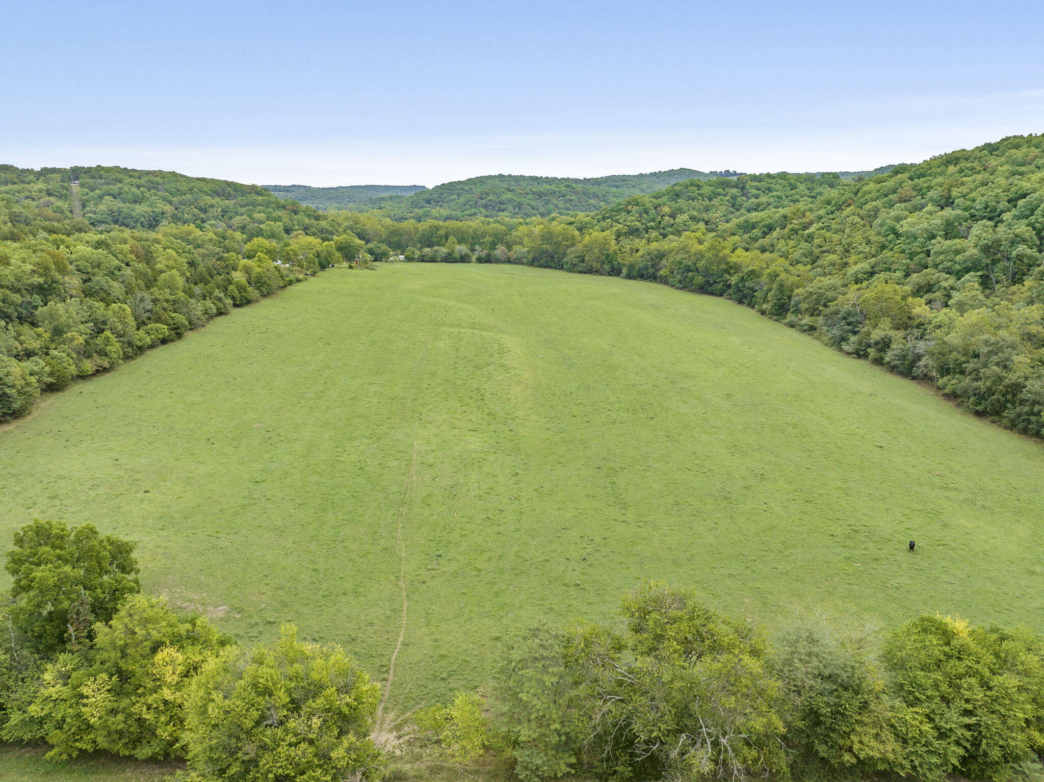 735 Co Road Sparta, MO 65753 - Photo 11 of 73 Open Pasture