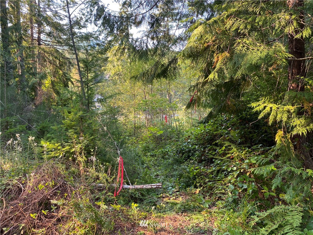 902 Rhododendron Lane Brinnon, WA 98320 - Photo 10 of 10 Gallery Image 10