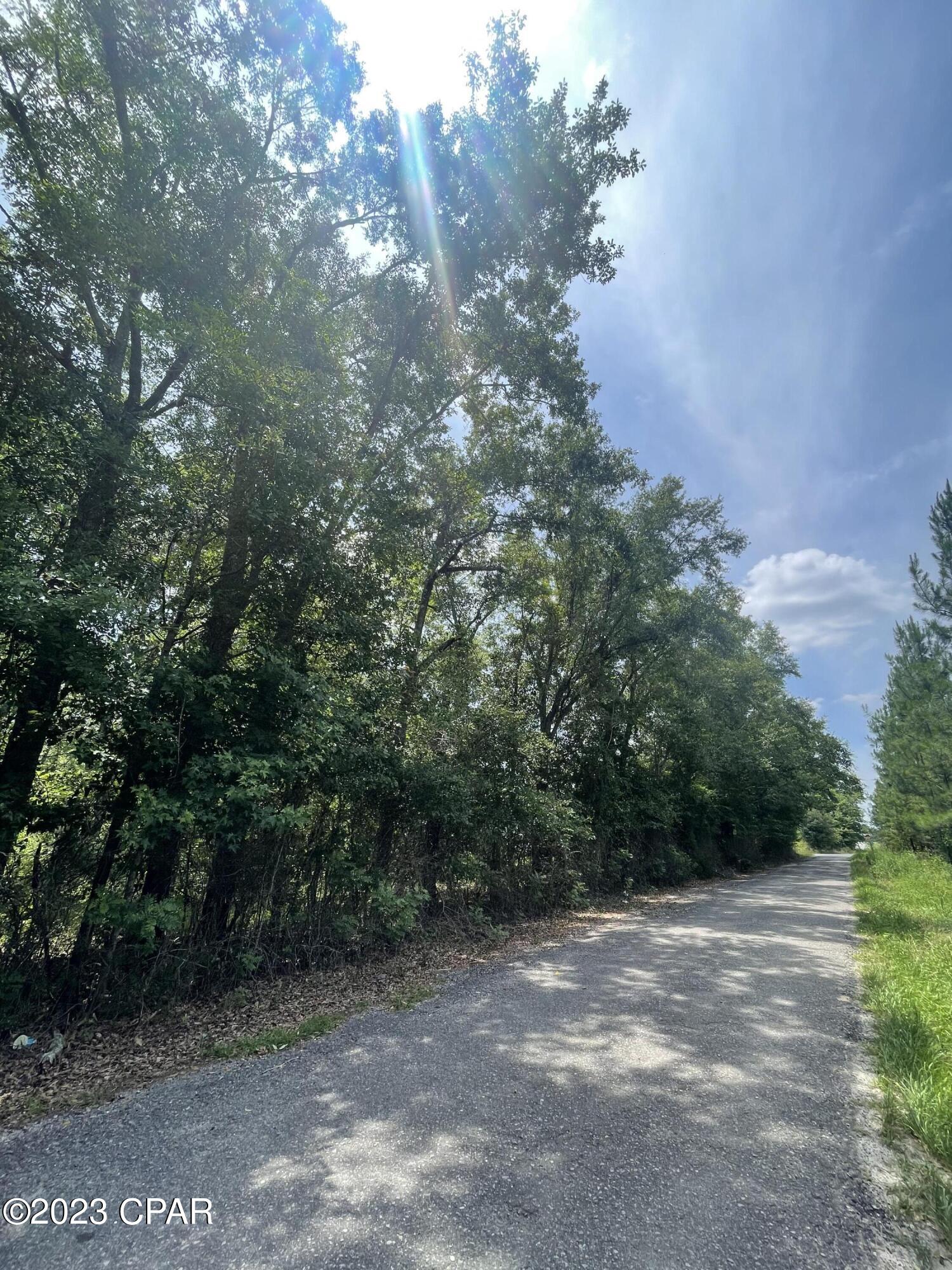 Tbd Enfinger Road Chipley, FL 32428 - Photo 1 of 8