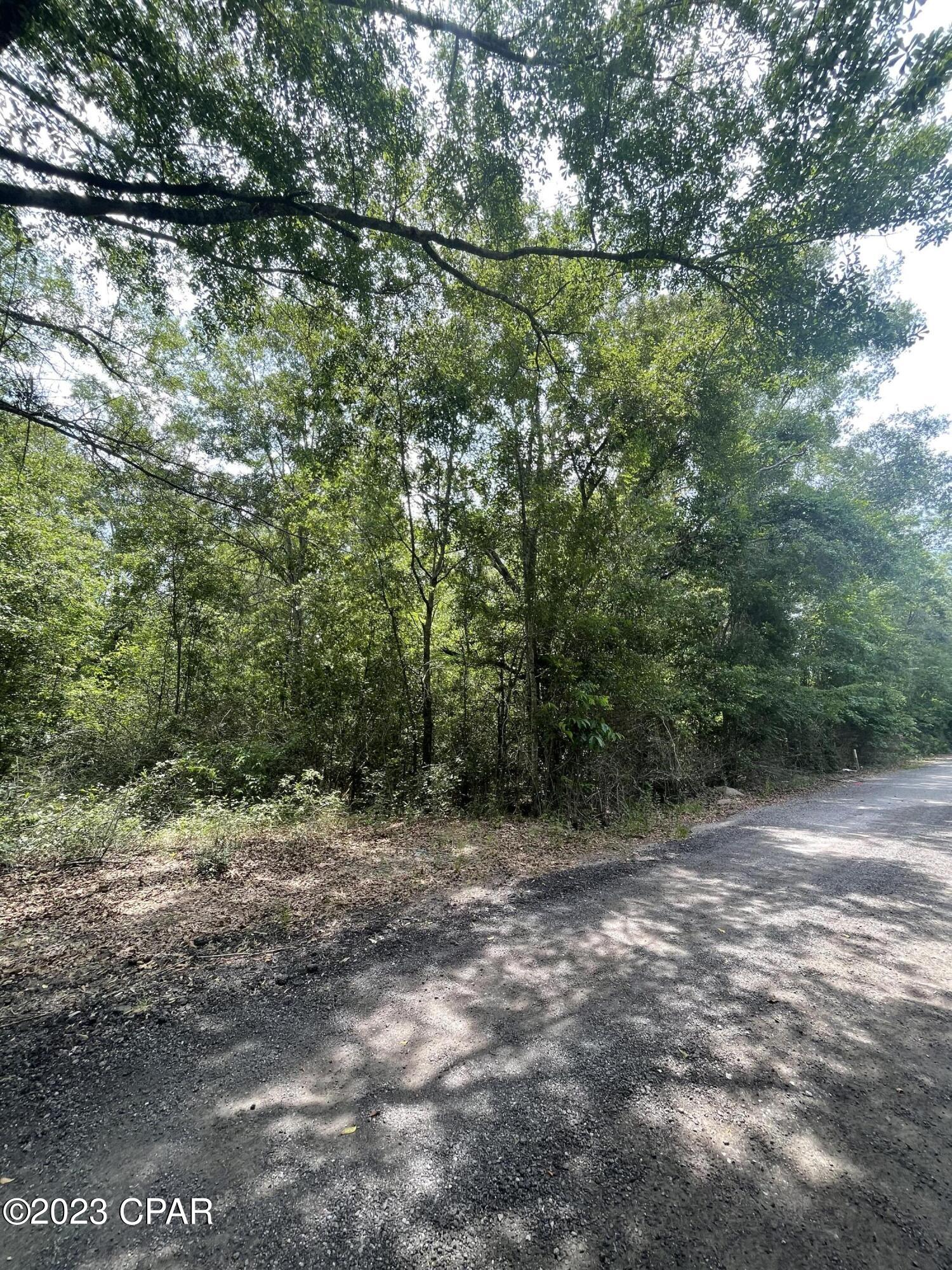 Tbd Enfinger Road Chipley, FL 32428 - Photo 3 of 8