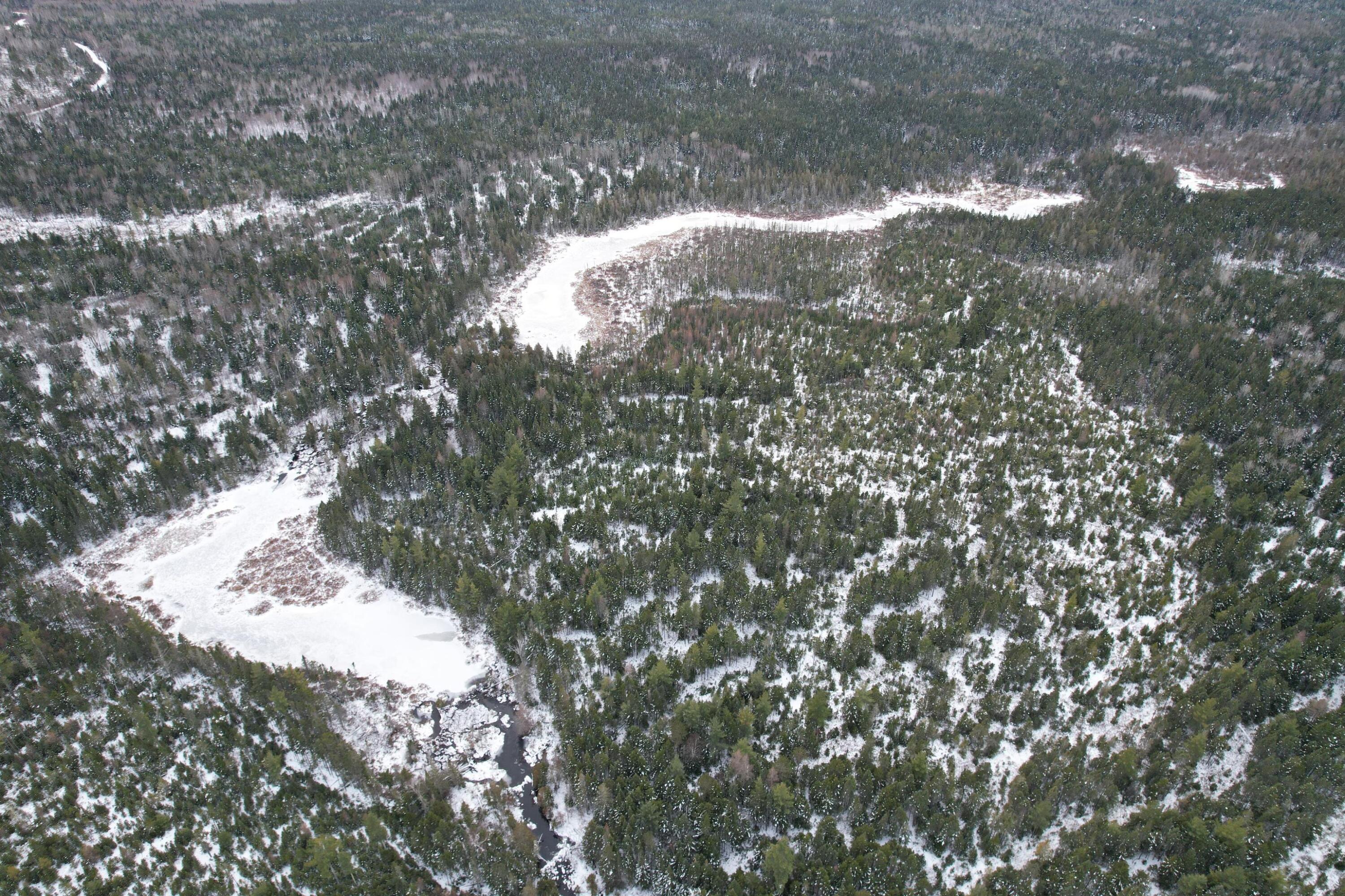 0 Off Loop Road Eustis, ME 04936 - Photo 29 of 29 Part of Joe Pokum Bog, west of camps