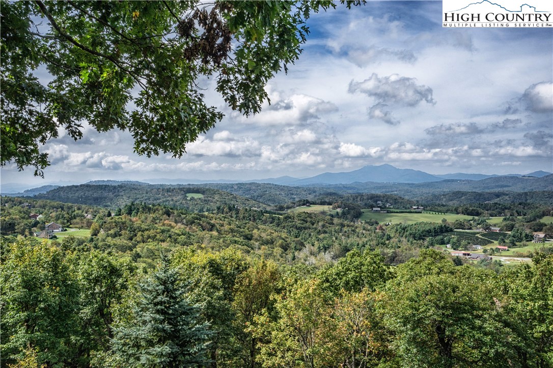 279 Oak Ridge Drive Boone, NC 28607 - Photo 4 of 37 Gallery Image 4
