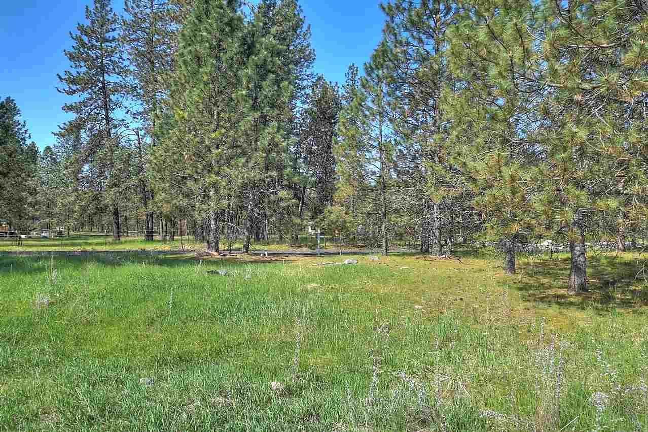 Nine West Tormey Road Nine Mile Falls, WA 99026 - Photo 3 of 16 Gallery Image 3