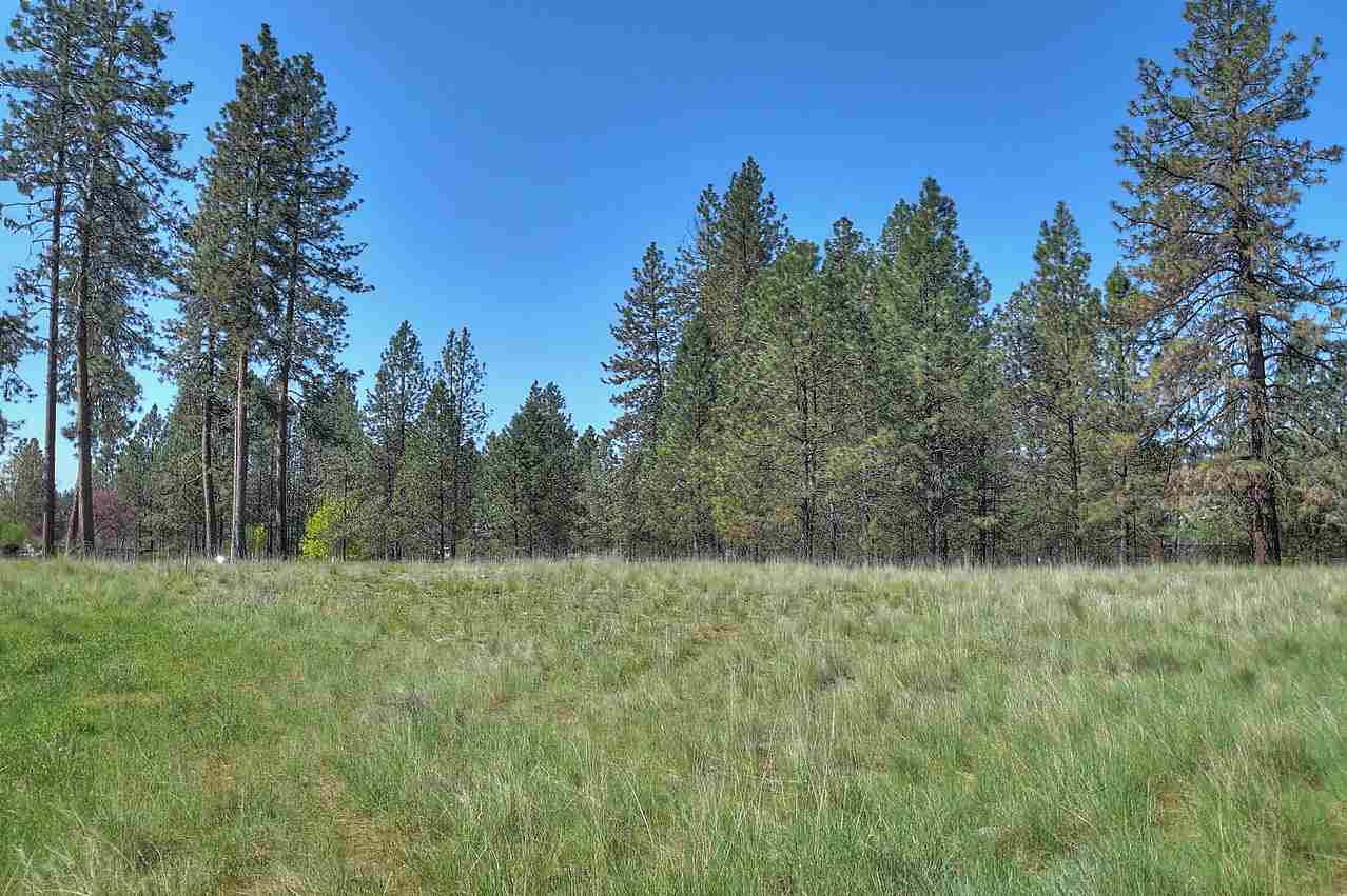 Nine West Tormey Road Nine Mile Falls, WA 99026 - Photo 4 of 16 Gallery Image 4