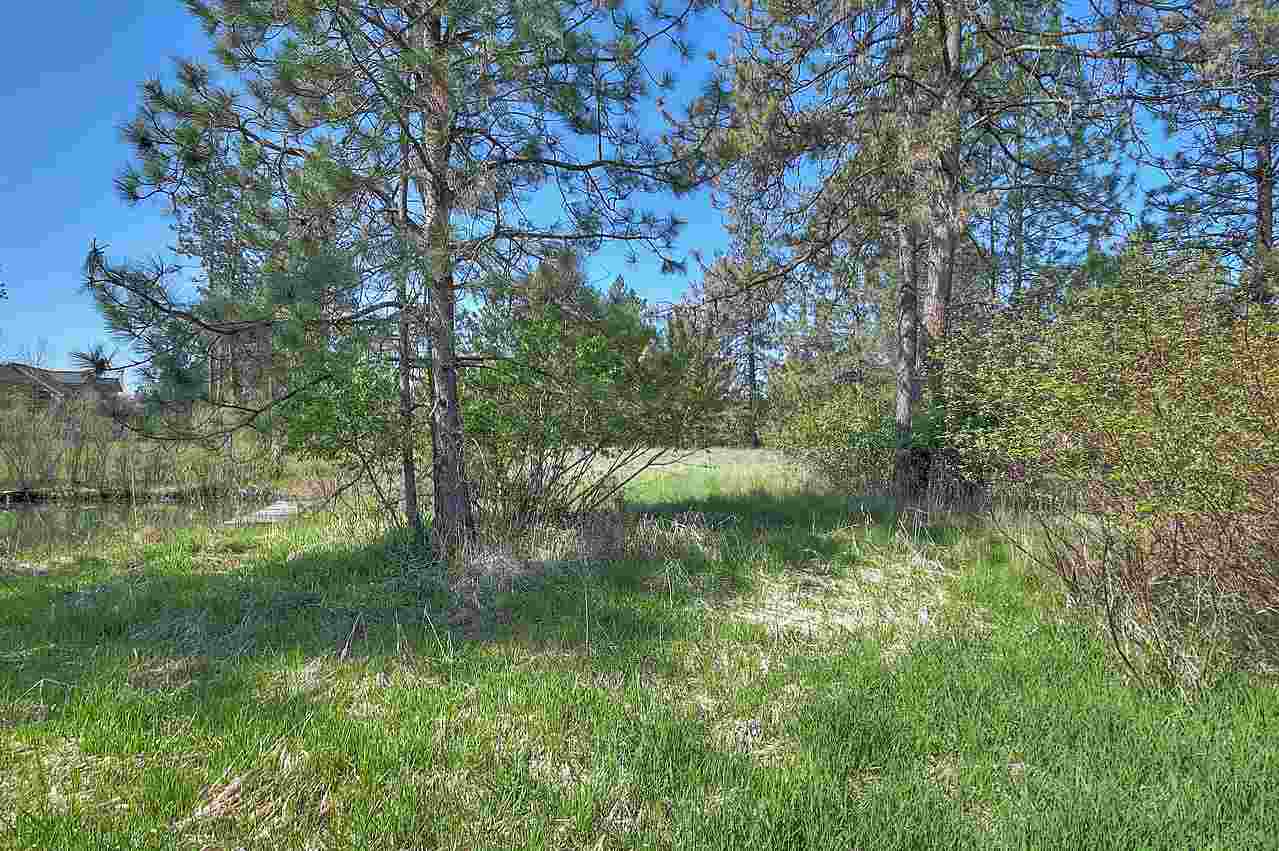 Nine West Tormey Road Nine Mile Falls, WA 99026 - Photo 6 of 16 Gallery Image 6