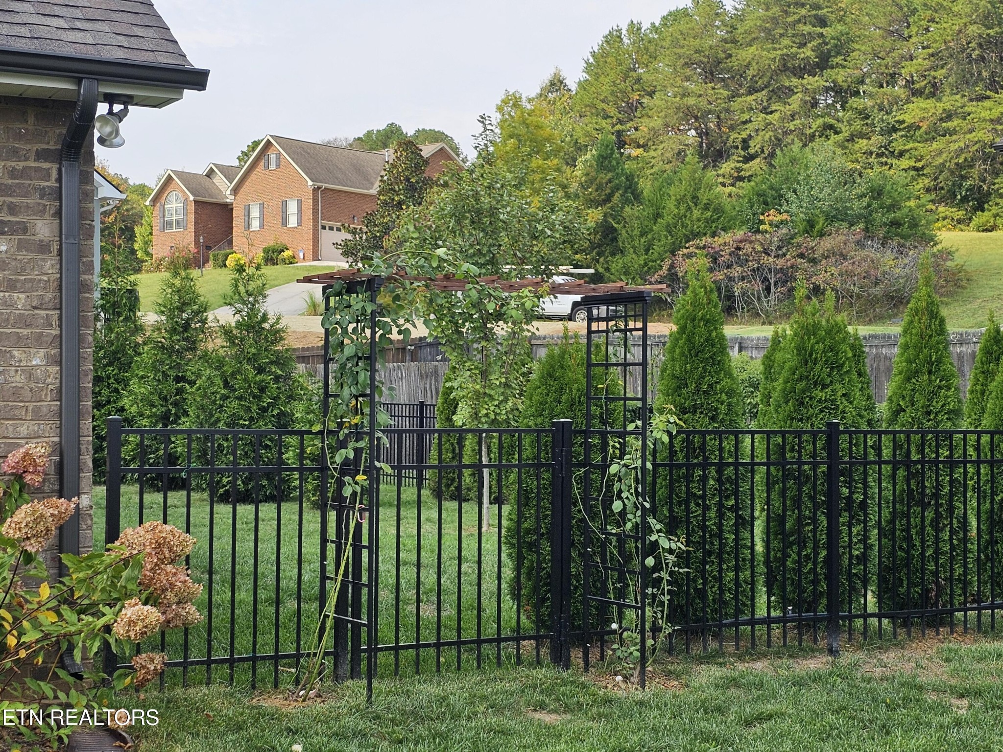 5920 Whisper Ridge Lane Corryton, TN 37721 - Photo 35 of 49 a view of a house with a big yard and plants