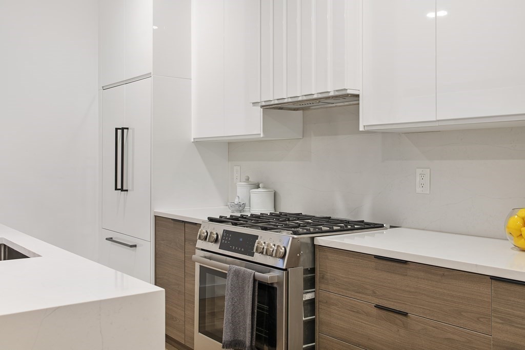 118 Spring Street, Unit 1 Cambridge, MA 02141 - Photo 7 of 21