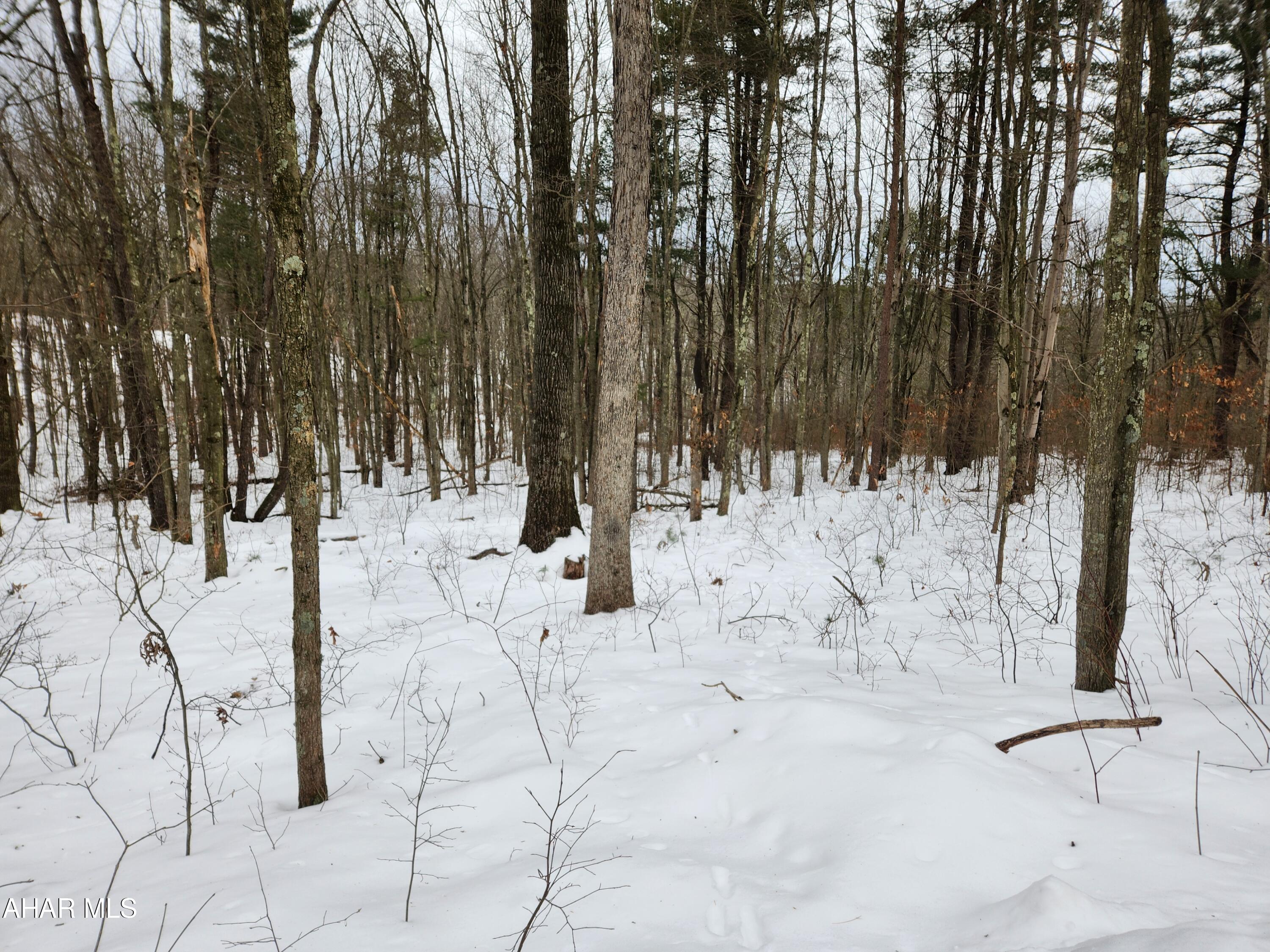 Off Pensyl Hollow Road Bedford, PA 15522 - Photo 16 of 19 Gallery Image 16