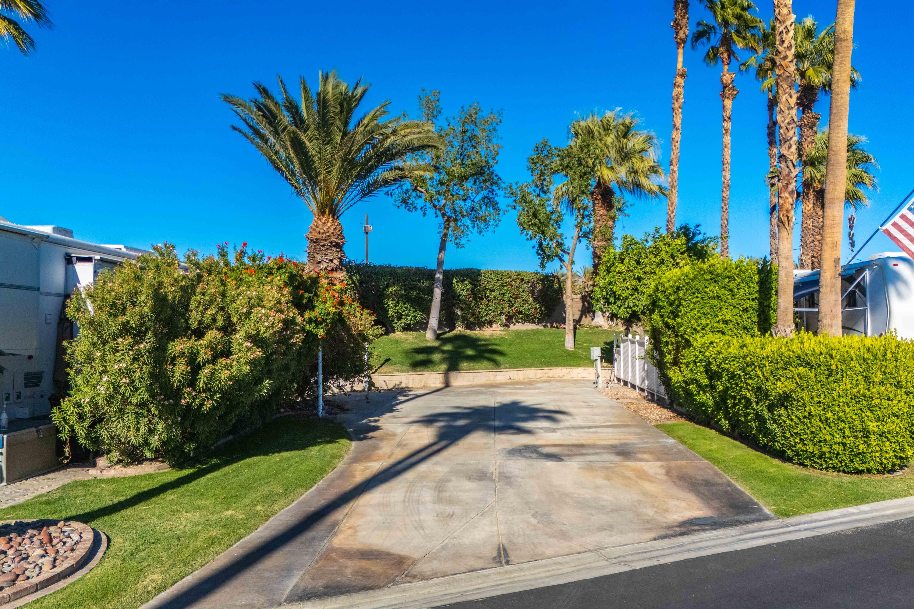 69411 Ramon Road, Unit 15 Cathedral City, CA 92234 - Photo 1 of 51 a view of a backyard with plants