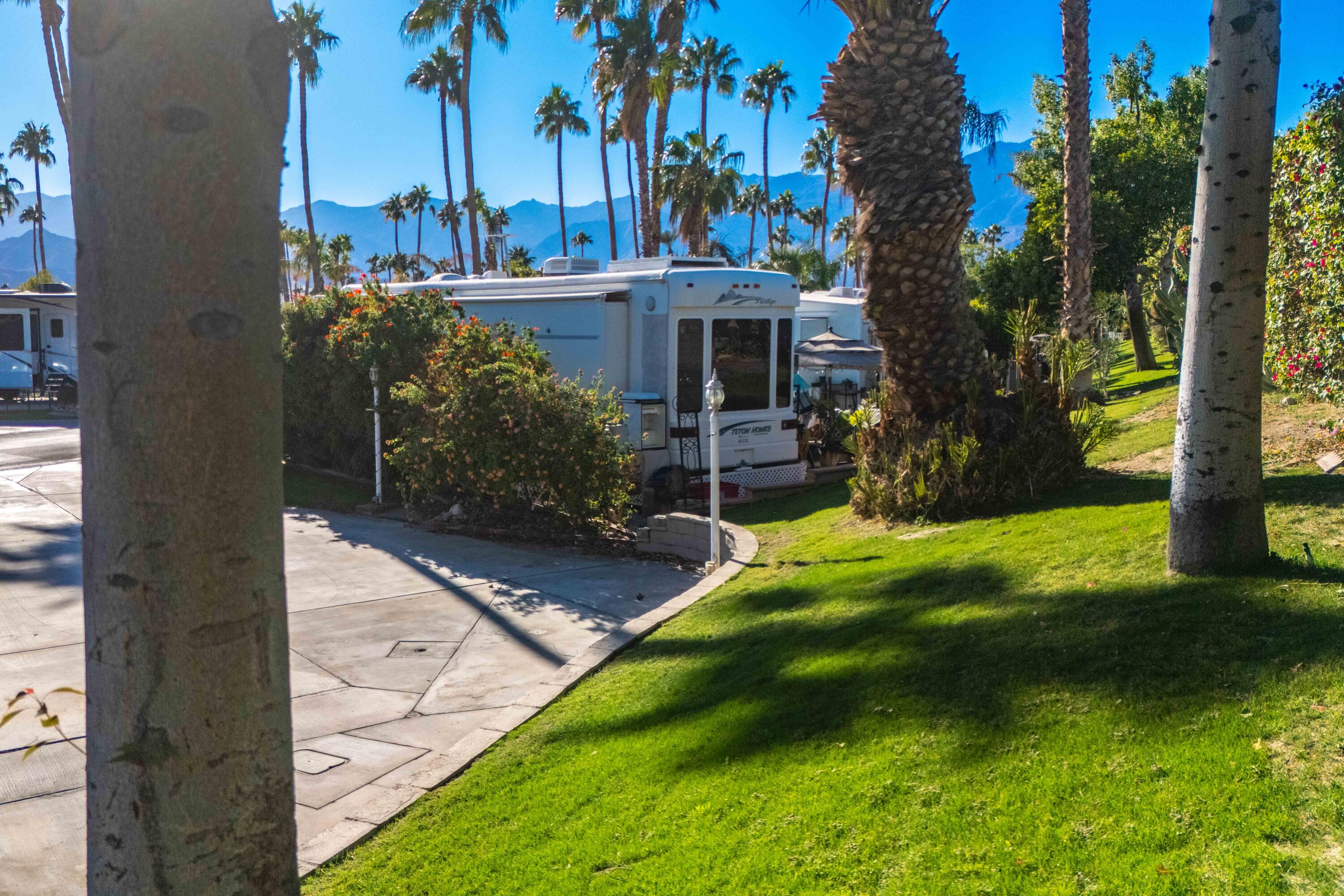69411 Ramon Road, Unit 15 Cathedral City, CA 92234 - Photo 4 of 51 a view of a garden