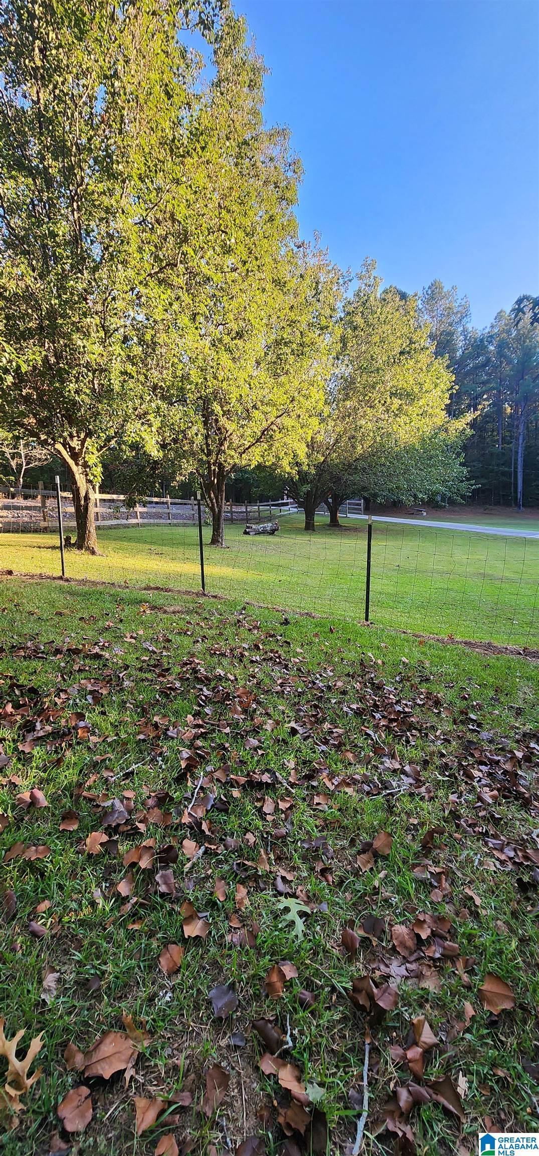 8536 Pine Mountain Road Pinson, AL 35126 - Photo 53 of 61