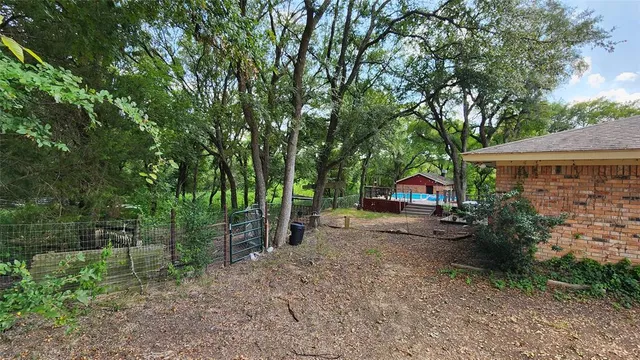 a view of a park with large trees