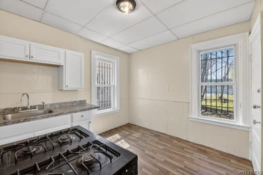 100 Kilhoffer Street Buffalo, NY 14211 - Photo 14 of 50