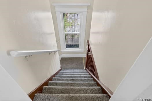 100 Kilhoffer Street Buffalo, NY 14211 - Photo 29 of 50