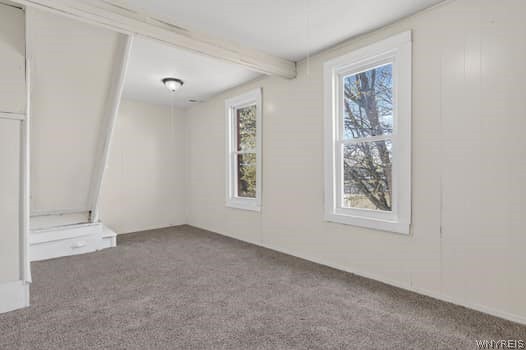 100 Kilhoffer Street Buffalo, NY 14211 - Photo 41 of 50