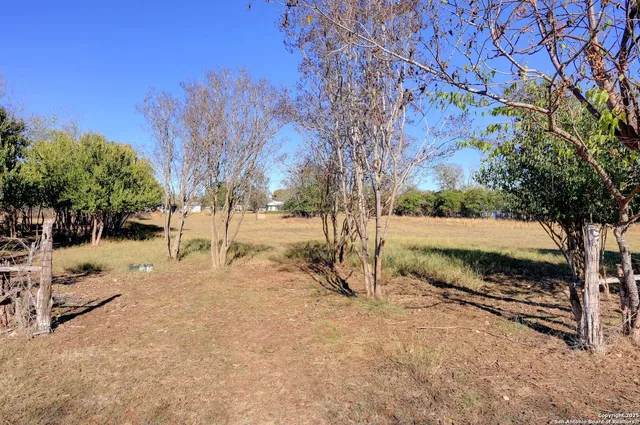 a view of backyard of the house