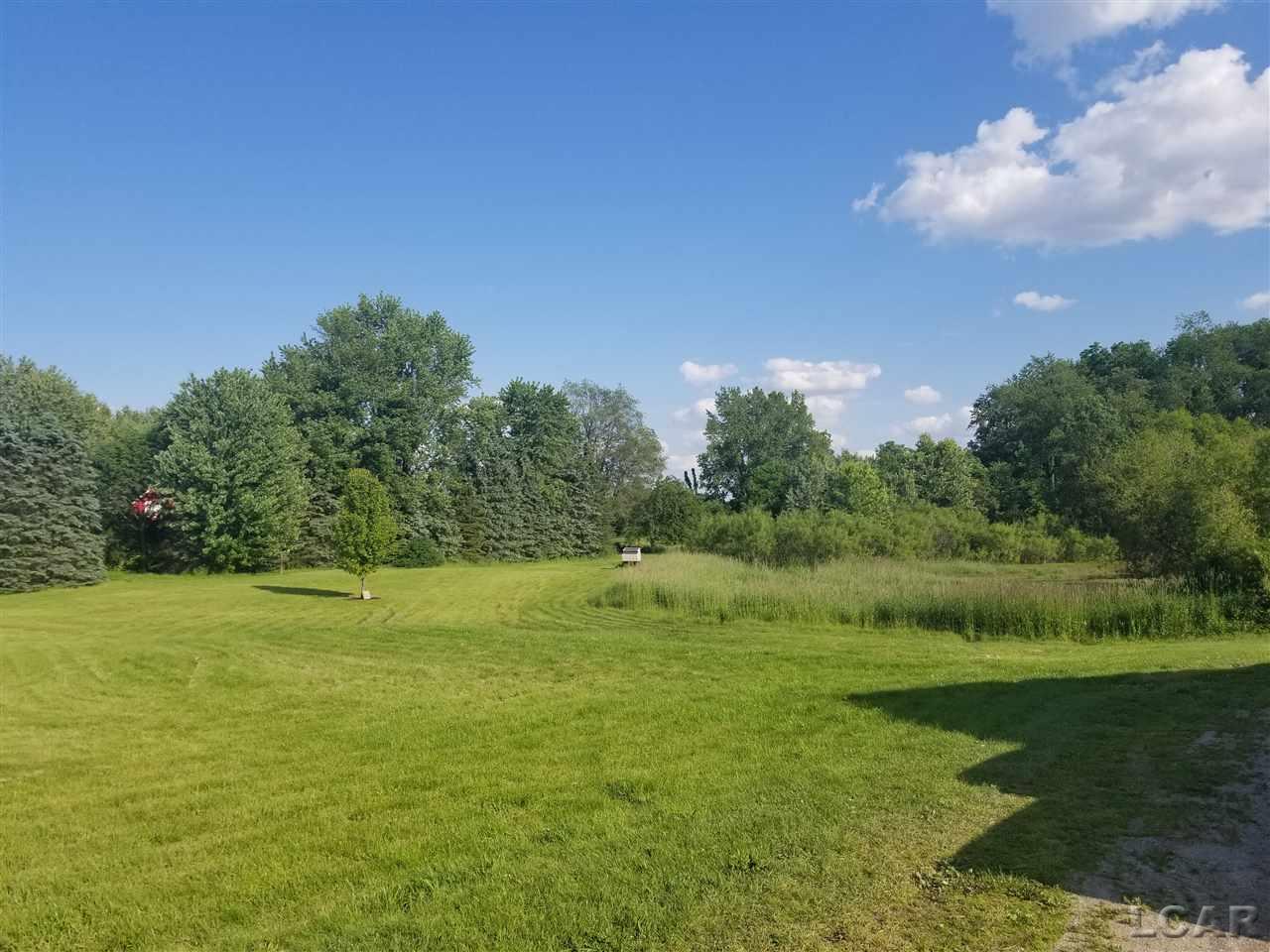 14175 Beecher Road Hudson, MI 49247 - Photo 10 of 38