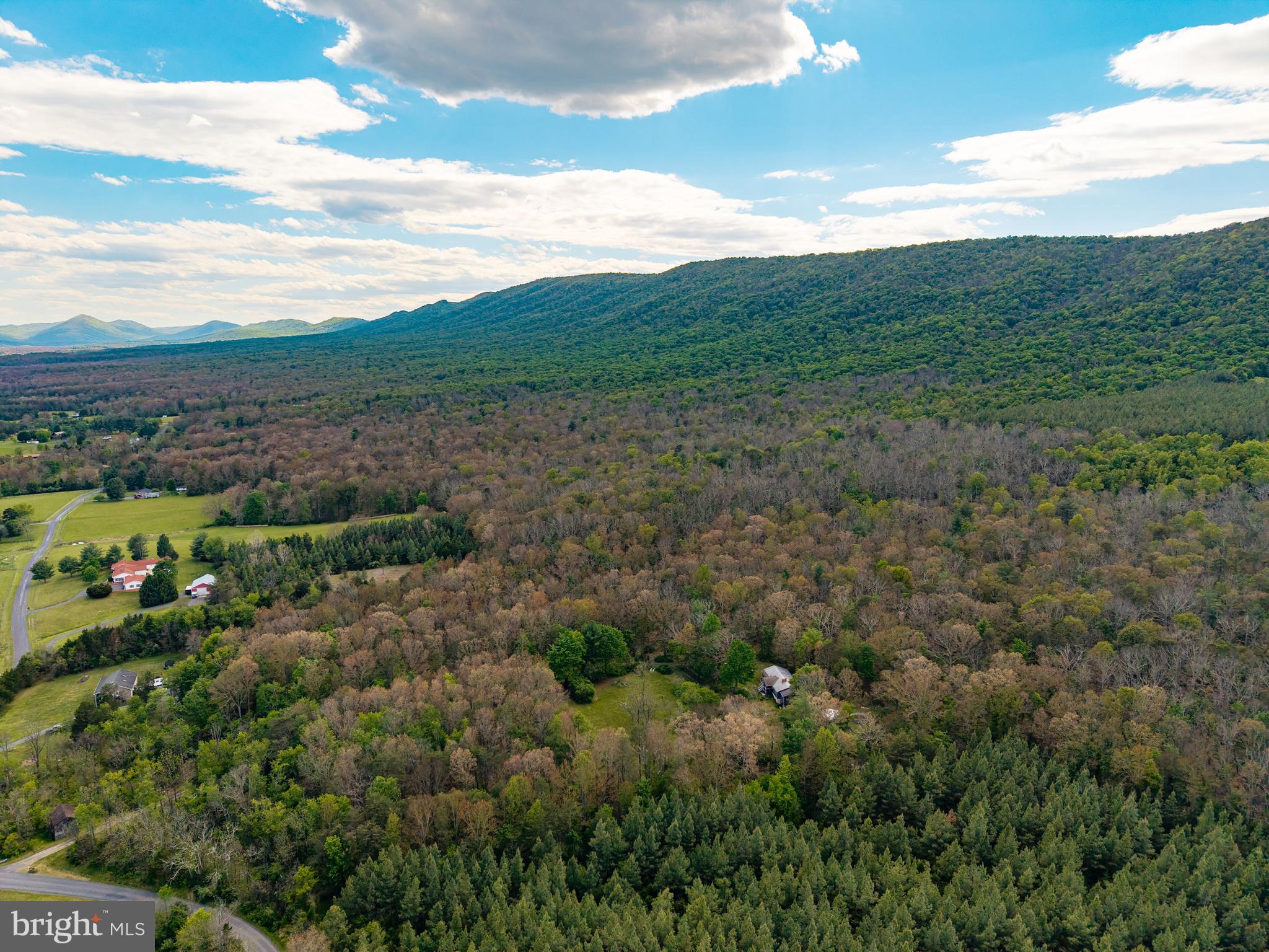 Boliver Road Fort Valley, VA 22652 - Photo 35 of 49 Gallery Image 35