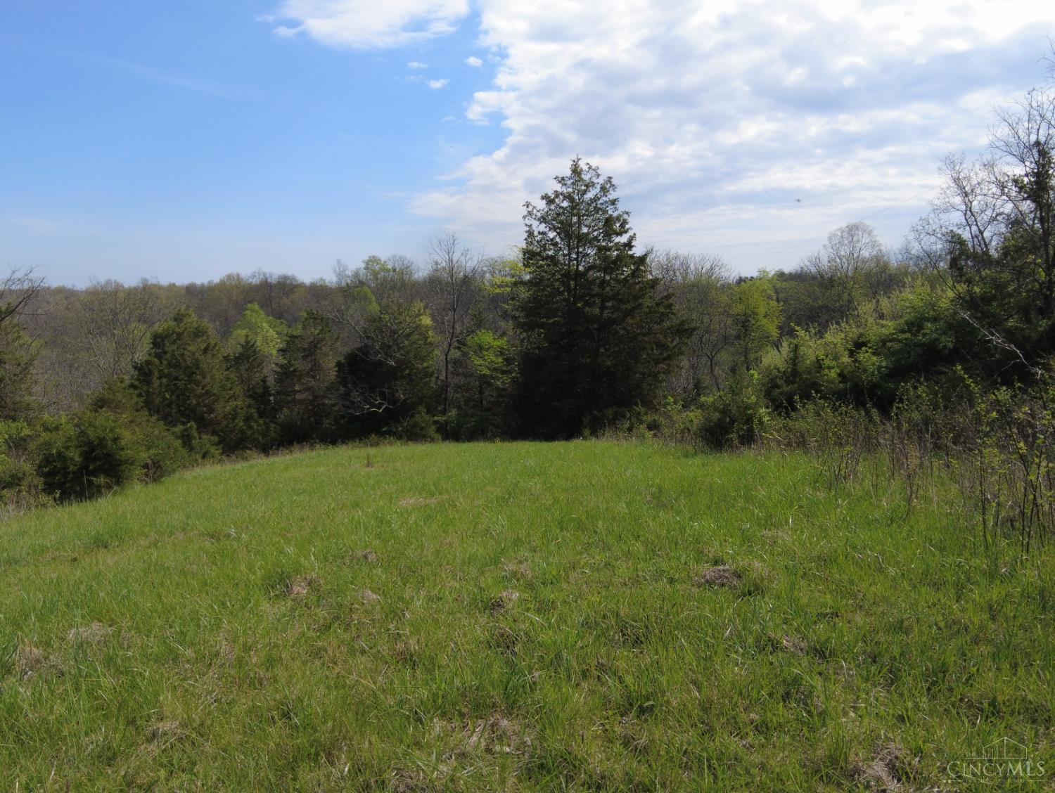 9951 Fishing Gut Road Aberdeen, OH 45101 - Photo 25 of 50