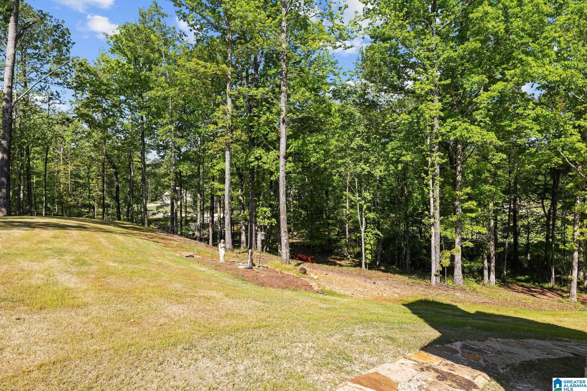 4213 Highway 36 Chelsea, AL 35043 - Photo 14 of 66